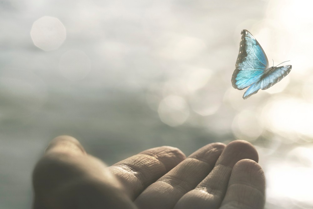 Lebensberatung als Wegweiser: Foto: © Cristina Conti / shutterstock / #1495611749 Lebensberatung als Wegweiser: Foto: © Cristina Conti / shutterstock / #1495611749